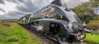 PICKERING STEAM TRAIN & WHITBY